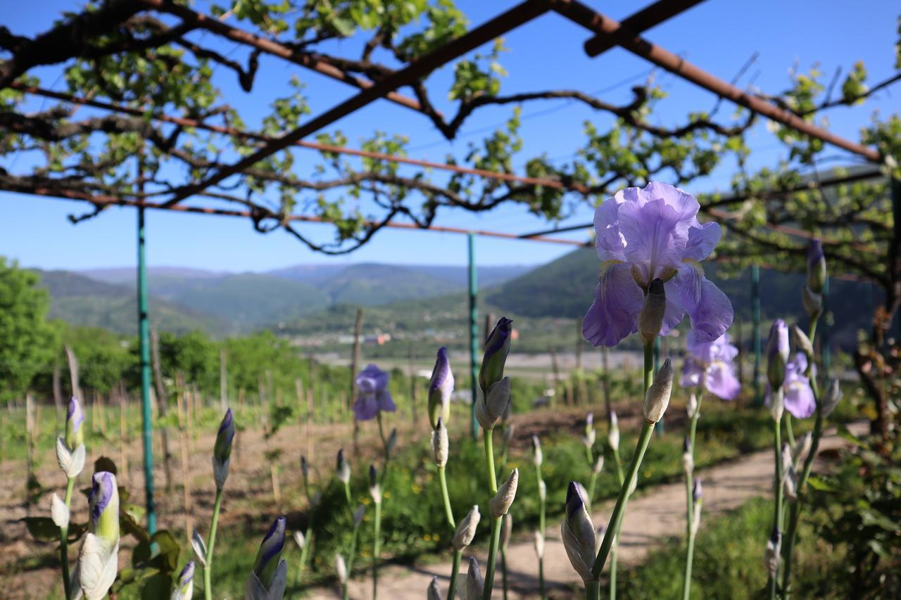 Chateau Dio 安布罗劳里 外观 照片